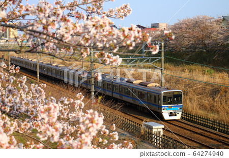 Hokuso Line 7800 type Hokuso Sakura Shirai Hokuso Line 7800 type Hokuso Sakura Shirai 64274940
