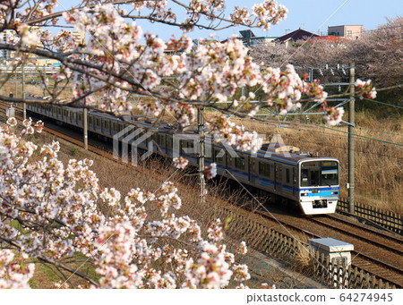 Hokuso Line 7800 type Hokuso Sakura Shirai Hokuso Line 7800 type Hokuso Sakura Shirai 64274945