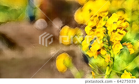 強姦開花 64275039