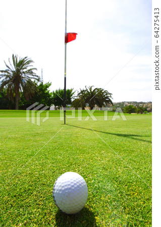 golf-ball on course 64275413