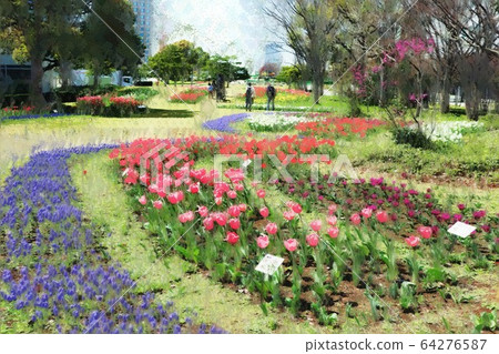 Odaiba, a tulip flower in the symbol promenade park. Flowing\
flower bed (March) Koto-ku, Tokyo