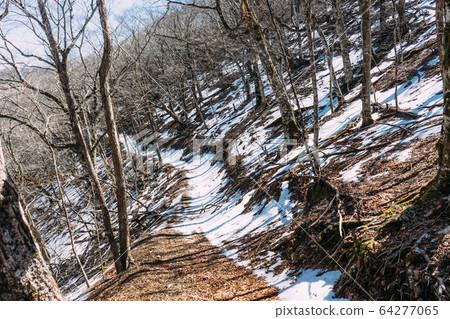 Auntikodake Mountain Trail Auntikodake Mountain Trail 64277065