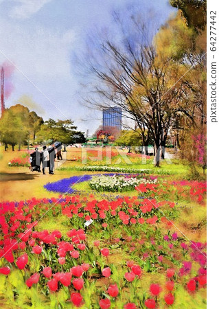 Odaiba, a tulip flower in the symbol promenade park. Flowing flower bed (March) Koto-ku, Tokyo