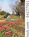 Odaiba, a tulip flower in the symbol promenade park. Flowing flower bed (March) Koto-ku, Tokyo 64277561