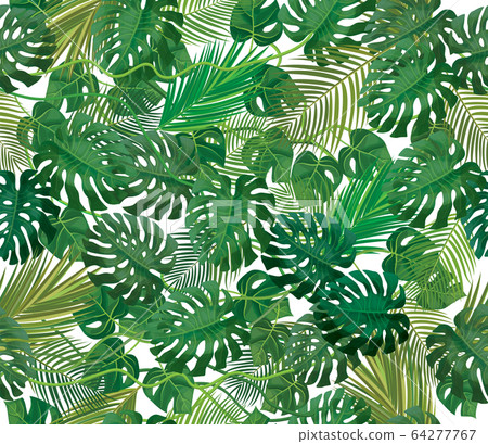 Seamless tropical, exotic leaves pattern. 64277767