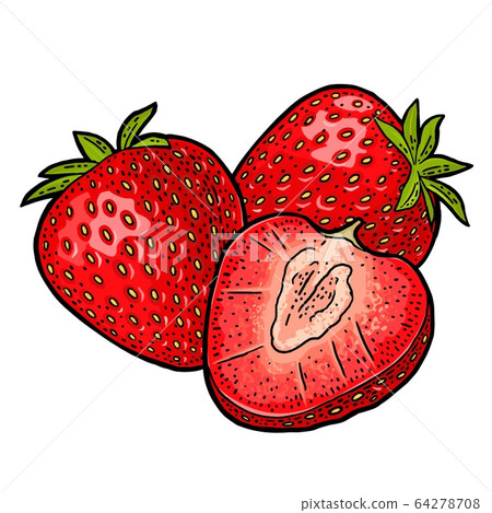Whole and slice strawberry. Vector color flat illustration Whole and slice strawberry. Vector color flat illustration 64278708