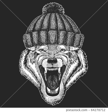 Wolf portrait. Winter knitted hat. Head of wild animal. Wolf portrait. Winter knitted hat. Head of wild animal. 64278712