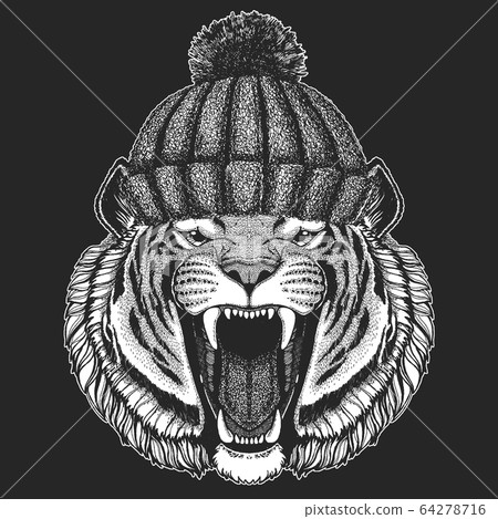 Tiger portrait. Winter knitted hat. Wild cat head. 64278716
