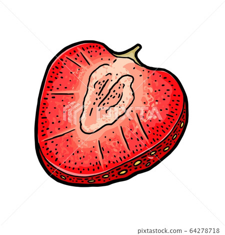 Half strawberry. Engraving vintage vector color illustration. 64278718