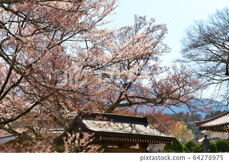 櫻花寺 櫻花寺 64278975