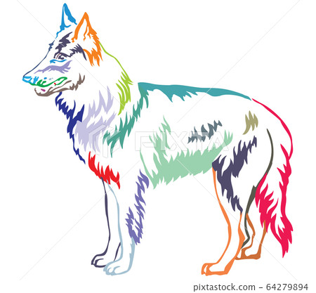 Colorful decorative standing portrait of Belgian 64279894