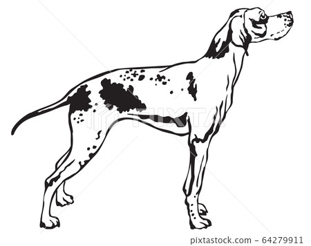 Decorative standing portrait of Pointer vector 64279911