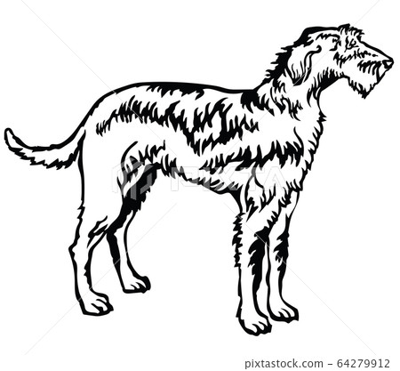 Decorative standing portrait of Irish Wolfhound 64279912