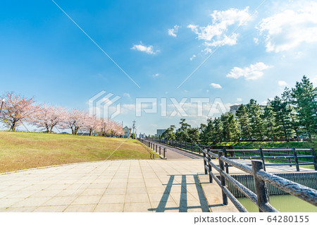 日光海道國家指定的風景名勝松原創價和櫻花風景 日光海道國家指定的風景名勝松原創價和櫻花風景 64280155