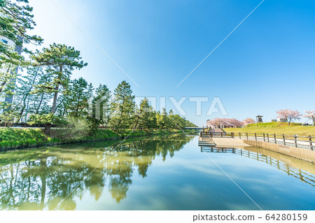 日光海道國家指定的風景名勝松原創價和櫻花風景 64280159
