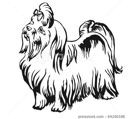 Decorative standing portrait of Maltese dog vector 64280386