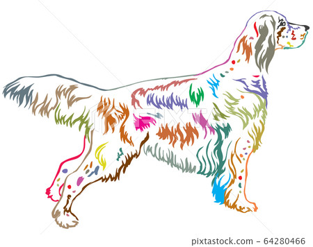 Colorful decorative standing portrait of English 64280466