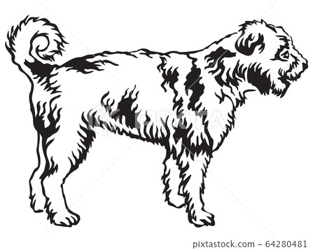 Decorative standing portrait of Lagotto Romagnolo 64280481