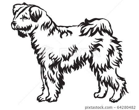 Decorative standing portrait of Pumi dog vector 64280482