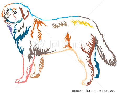 Colorful decorative standing portrait of Maremma Colorful decorative standing portrait of Maremma 64280500