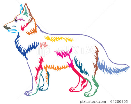 Colorful decorative standing portrait of Berger Colorful decorative standing portrait of Berger 64280505