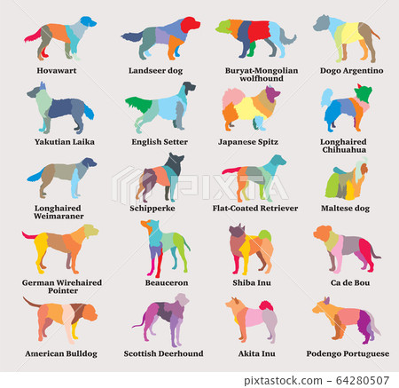 Vector set of colorful mosaic dogs silhouettes-7 64280507
