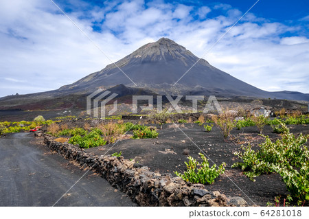 Pico do Fogo and vines in Cha das Caldeiras, Cape Pico do Fogo and vines in Cha das Caldeiras, Cape 64281018