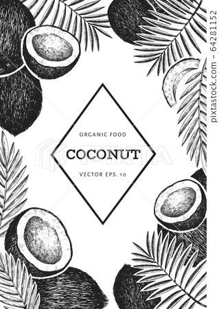 Coconut with palm leaves design template. Hand Coconut with palm leaves design template. Hand 64281152