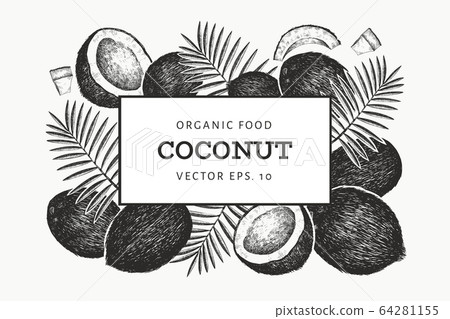 Coconut with palm leaves design template. Hand Coconut with palm leaves design template. Hand 64281155