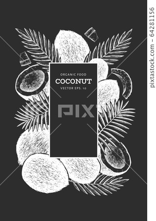 Coconut with palm leaves design template. Hand Coconut with palm leaves design template. Hand 64281156