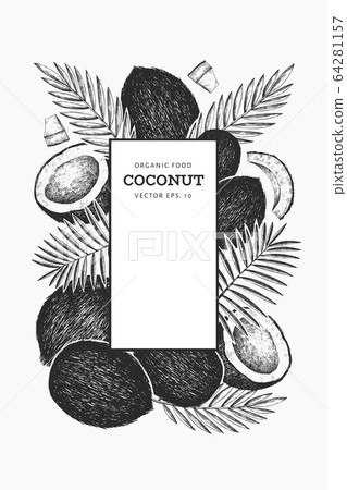 Coconut with palm leaves design template. Hand Coconut with palm leaves design template. Hand 64281157