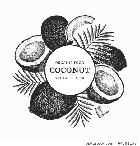 Coconut with palm leaves design template. Hand Coconut with palm leaves design template. Hand 64281158