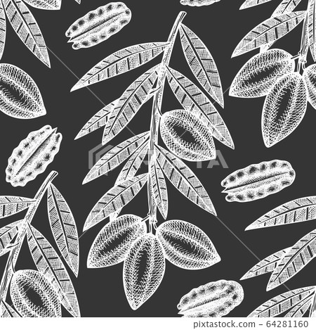 Hand drawn pecan branch and kernels seamless Hand drawn pecan branch and kernels seamless 64281160