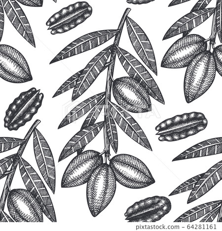 Hand drawn pecan branch and kernels seamless Hand drawn pecan branch and kernels seamless 64281161