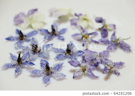 食用花卉 64281206