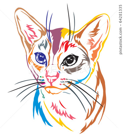 Colorful decorative portrait of Abyssinian Cat Colorful decorative portrait of Abyssinian Cat 64281335