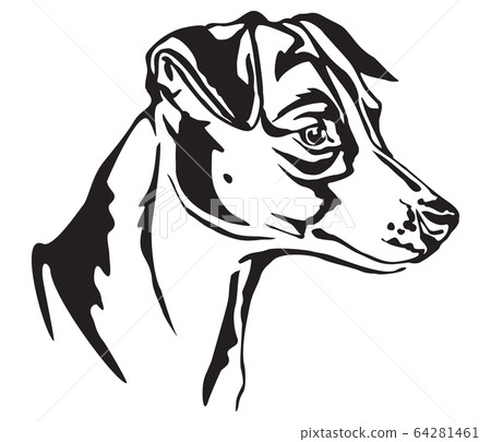 Decorative portrait of Jack Russell Terrier vector 64281461