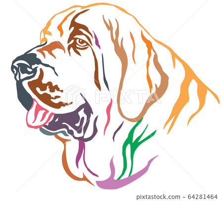 Colorful decorative portrait of Spanish Mastiff 64281464