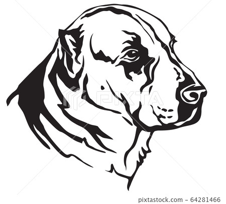 Decorative portrait of Central Asian Shepherd Dog Decorative portrait of Central Asian Shepherd Dog 64281466