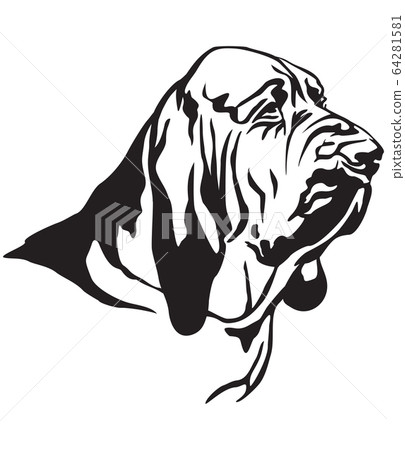Decorative portrait of Bloodhound vector 64281581