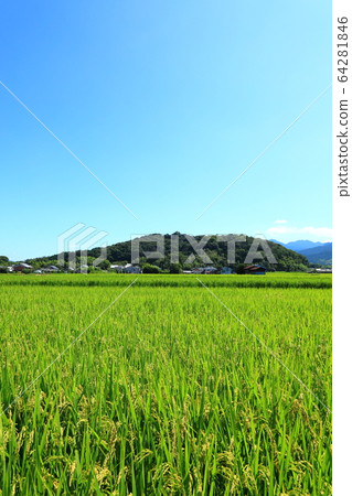 天山山與田園風光 64281846