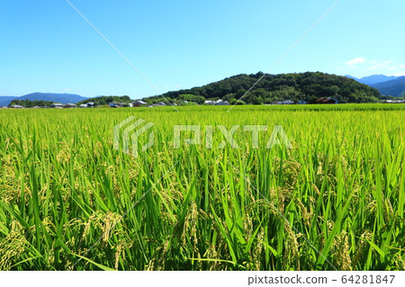 天山山與田園風光 天山山與田園風光 64281847