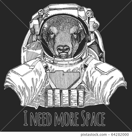 Buffalo, bison, bull head. Wild animal wearing space suit. Portait of animal. Buffalo, bison, bull head. Wild animal wearing space suit. Portait of animal. 64282000