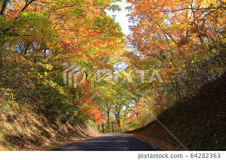 Autumnal leaves west town promenade Autumnal leaves west town promenade 64282363