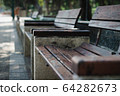 An Empty Bench in the park in the daytime 64282673