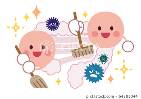 Good bacteria cleaning the intestines 64283044