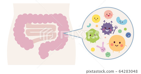 Intestinal environment bacteria 64283048