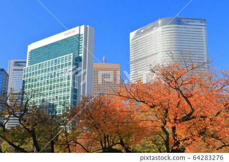 [東京] Hamarikyu和汐留摩天大樓的秋葉 64283276