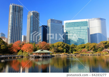 [東京] Hamarikyu和汐留摩天大樓的秋葉 64283277