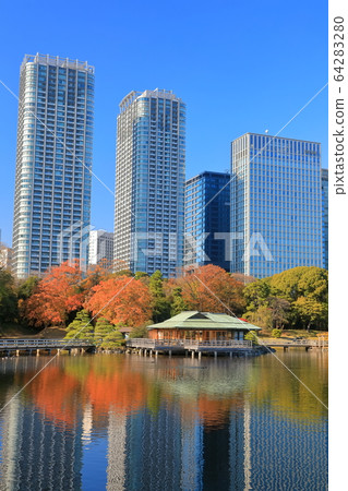 [東京] Hamarikyu和汐留摩天大樓的秋葉 64283280